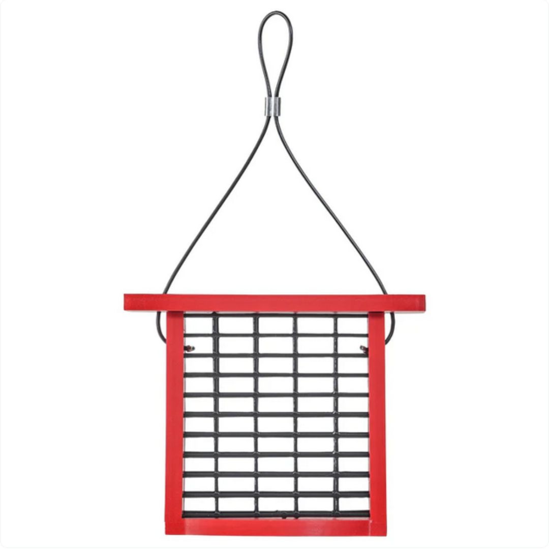 Suet Feeder – Birds Choice – Red